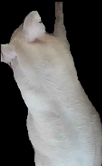 Crop