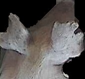 Crop