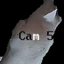 Crop