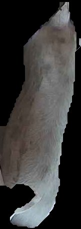 Crop