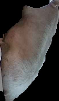 Crop