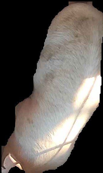 Crop