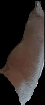 Crop