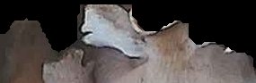 Crop