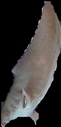 Crop