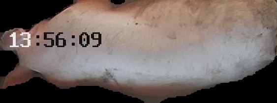Crop