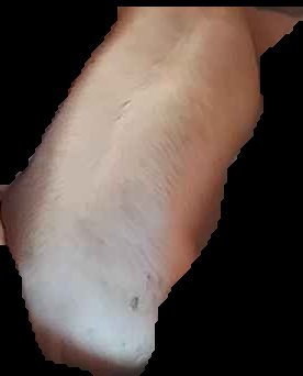 Crop