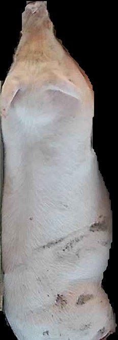 Crop
