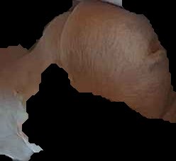 Crop