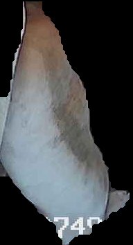 Crop