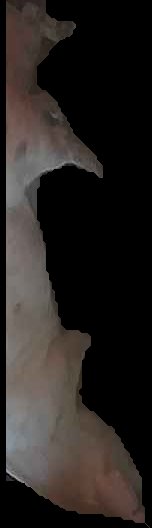 Crop