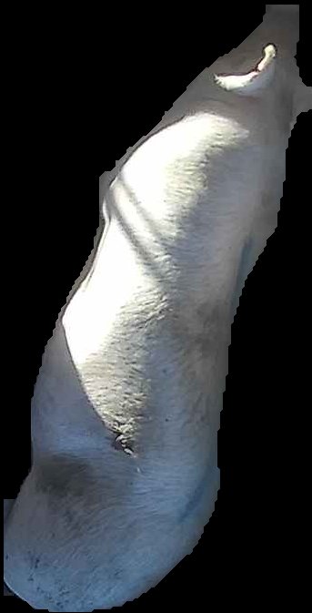 Crop