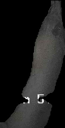 Crop