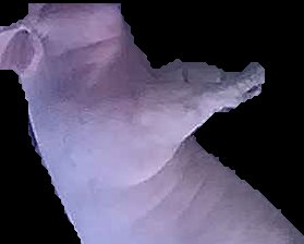 Crop
