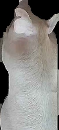 Crop