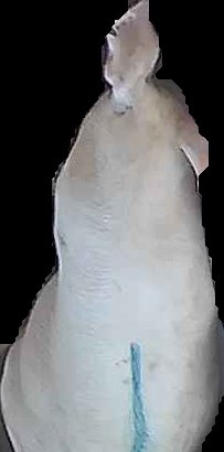 Crop