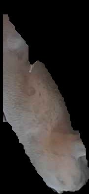 Crop