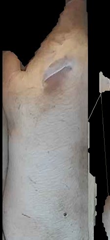 Crop