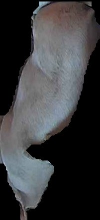 Crop