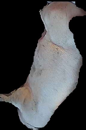 Crop