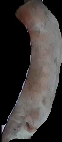 Crop