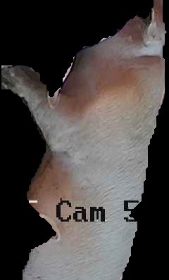 Crop