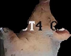 Crop
