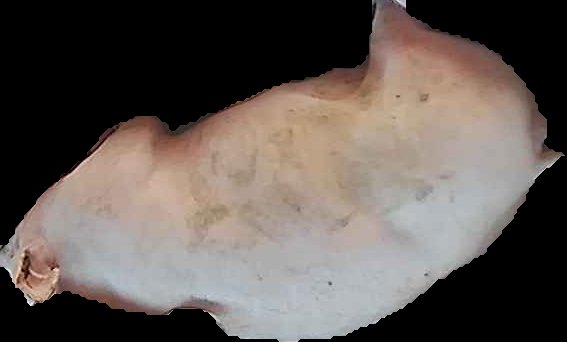 Crop