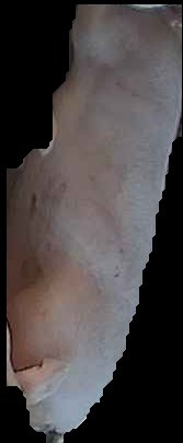 Crop
