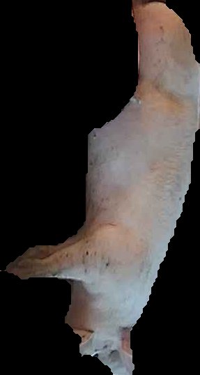 Crop