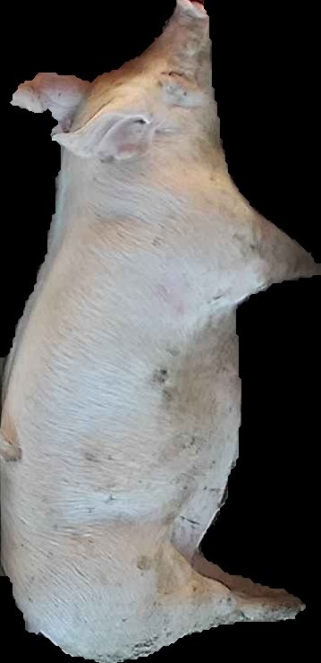 Crop