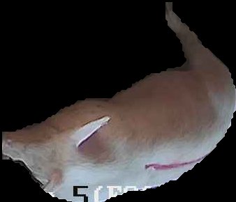Crop