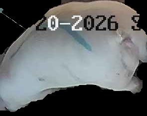 Crop