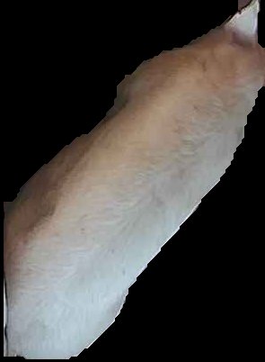 Crop