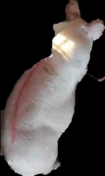 Crop