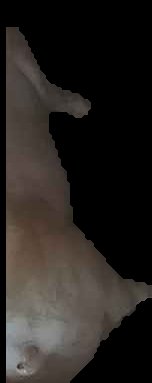 Crop