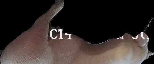 Crop