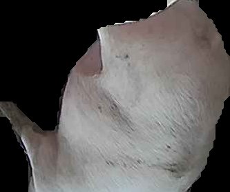Crop