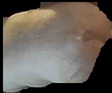 Crop