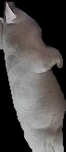 Crop