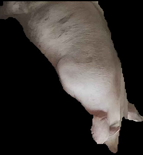 Crop