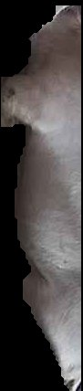 Crop