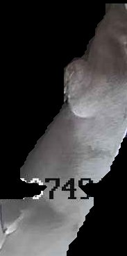 Crop