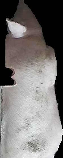 Crop
