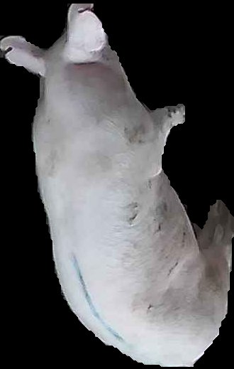 Crop