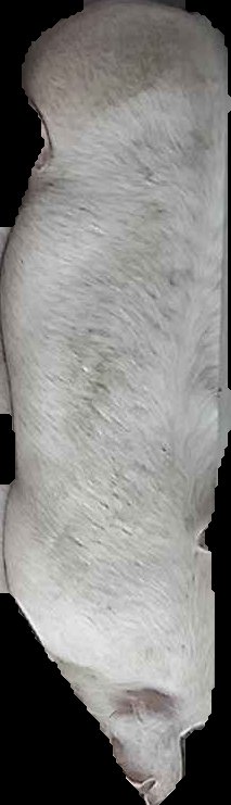 Crop