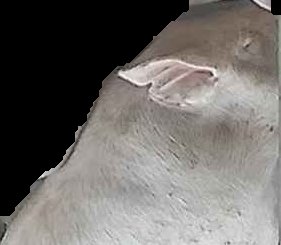 Crop