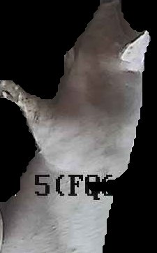 Crop
