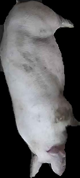 Crop