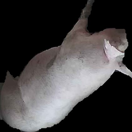 Crop
